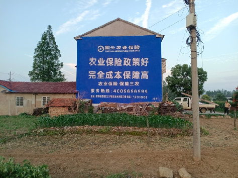 汉川墙体广告为何受追捧？